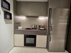Havelock Road (D1), Apartment #462850131